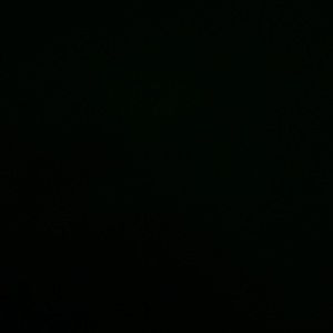 Meet your Posher, Gianna